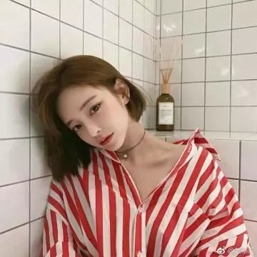 献给阿尔吉侬的花束