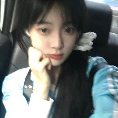 与鲨鱼游弋